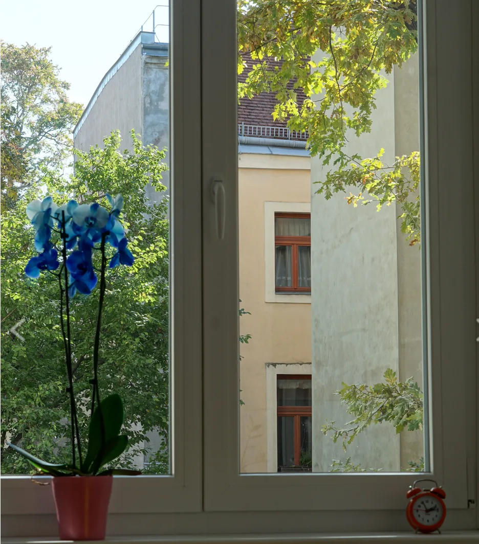Blick aus dem Praxisfenster auf Bäume und den Innenhof
